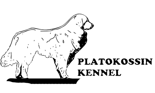 Kennel Platokossin